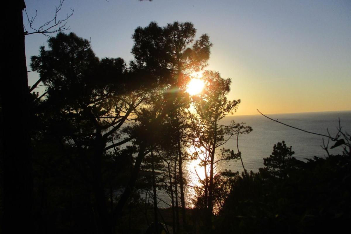 Сasa de vacaciones Le Presbytere, Cotentin, Val De Saire, Fermanville, Proximite Immediate Et Foret